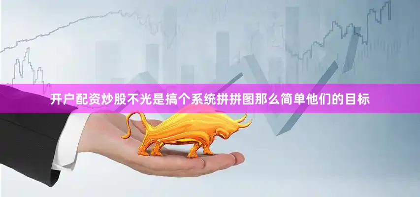 开户配资炒股不光是搞个系统拼拼图那么简单他们的目标