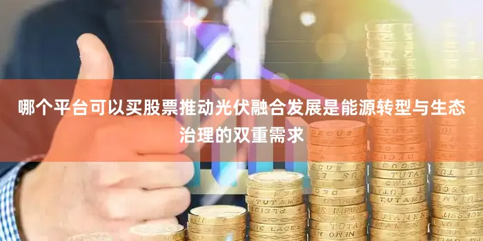 哪个平台可以买股票推动光伏融合发展是能源转型与生态治理的双重需求